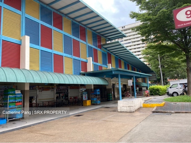 Blk 8 Telok Blangah Crescent (Bukit Merah), HDB 3 Rooms #241240331